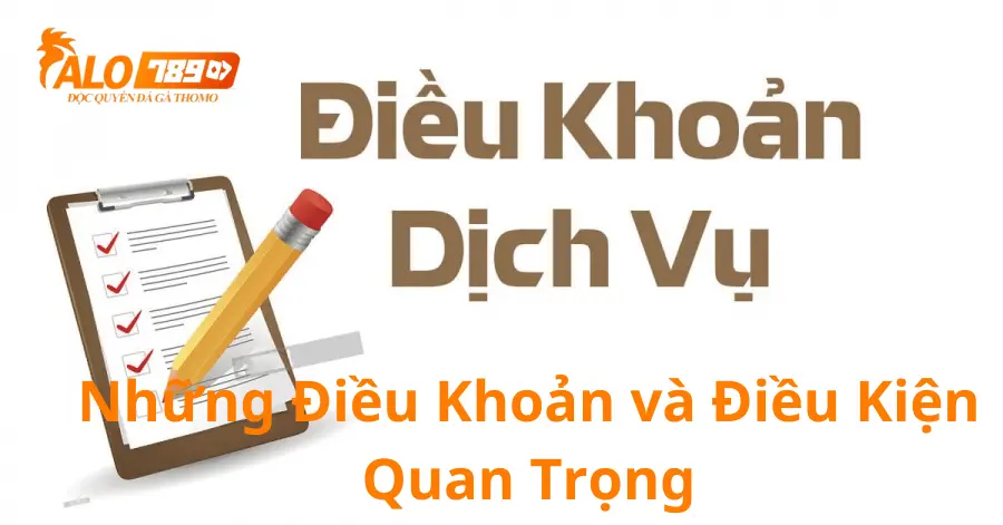 Những điều khoản và điều kiện quan trọng tạ alo789 người chơi cần biết