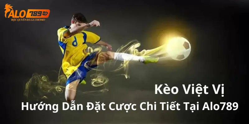 Hướng dẫn đặt cược kèo việt vị tại Alo789