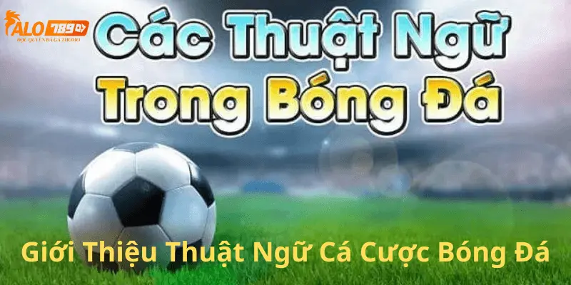 Giới Thiệu Thuật Ngữ Cá Cược Bóng Đá